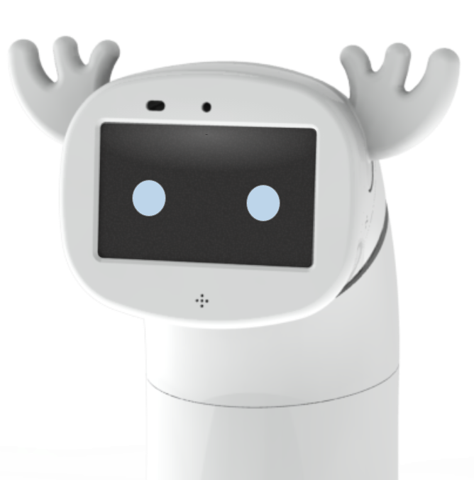 Homey Robot